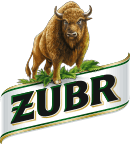 Żubr